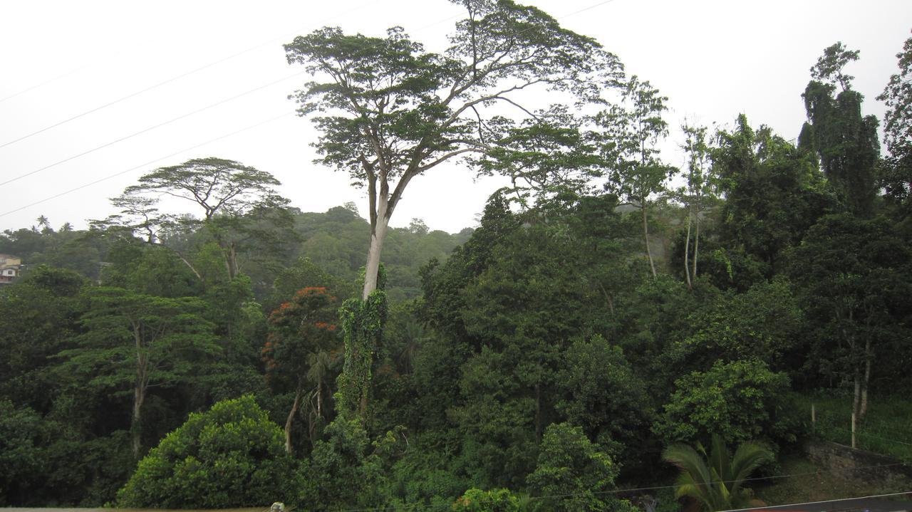 Bethel Rest Homestay Kandy Exterior foto